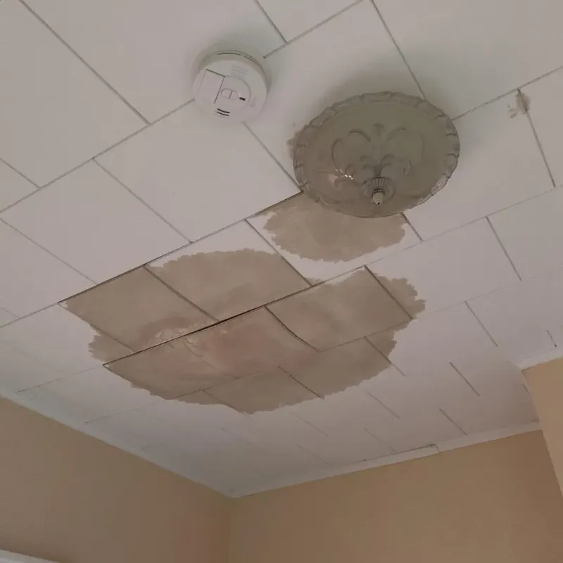Ceiling Water Damage Repair in Choctaw County, MS