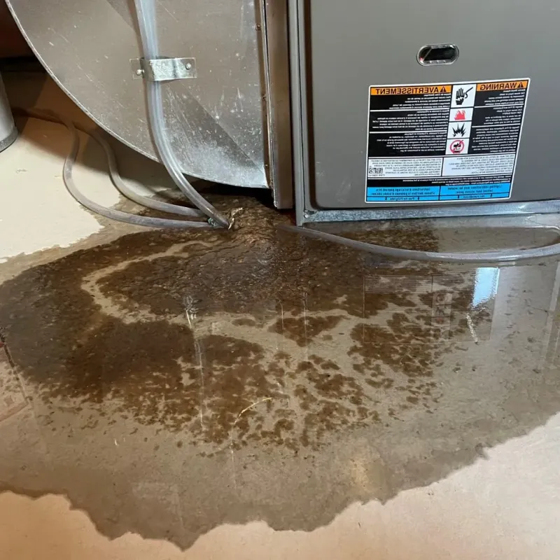 Pipe Burst and Leak Restoration in Choctaw County, MS