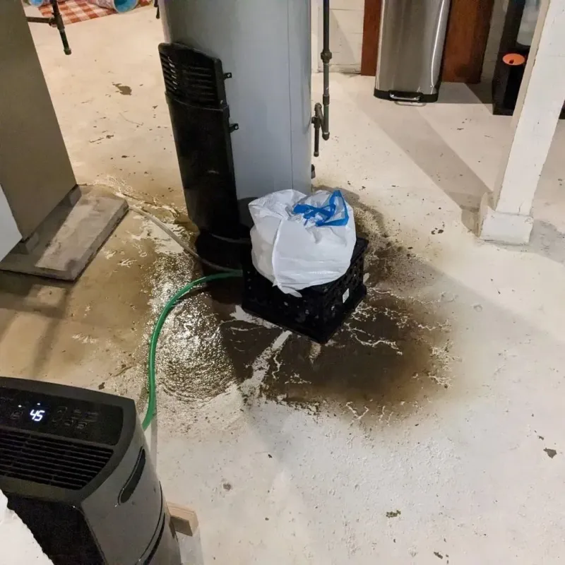 Sewage Backup Cleanup Service in Choctaw County, MS